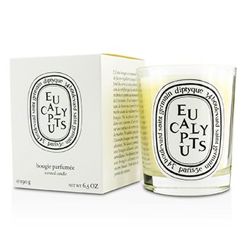 Diptyque Scented Candle - Eucalyptus