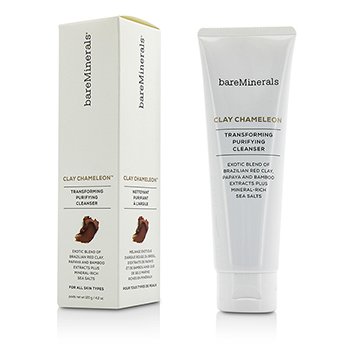 Clay Chameleon Transforming Purifying Cleanser