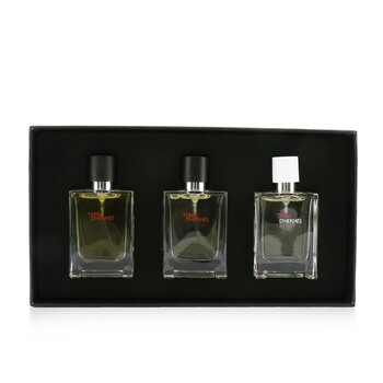 Terre D'Hermes Coffret: Pure Parfum Spray + Eau De Toilette Spray + Eau Tres Fraiche Spray