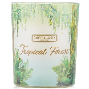 Vela en Vaso Votivo 100% de Cera de Abejas - Tropical Forest