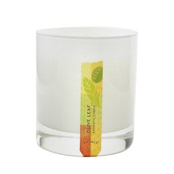 Thymes Vela Aromática - Olive Leaf