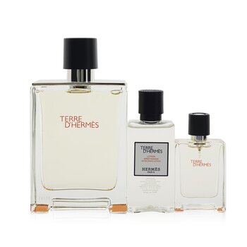 Hermes Terre DHermes Coffret: Eau De Toilette Spray 100ml + Eau De Toilette Spray 12.5ml + After-Shave Lotion 40ml