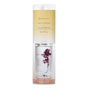 Botanica Home Fragrance Plante Diffuser - Red Berry